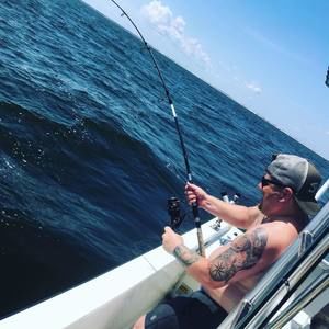 Meet your Posher, Bryce